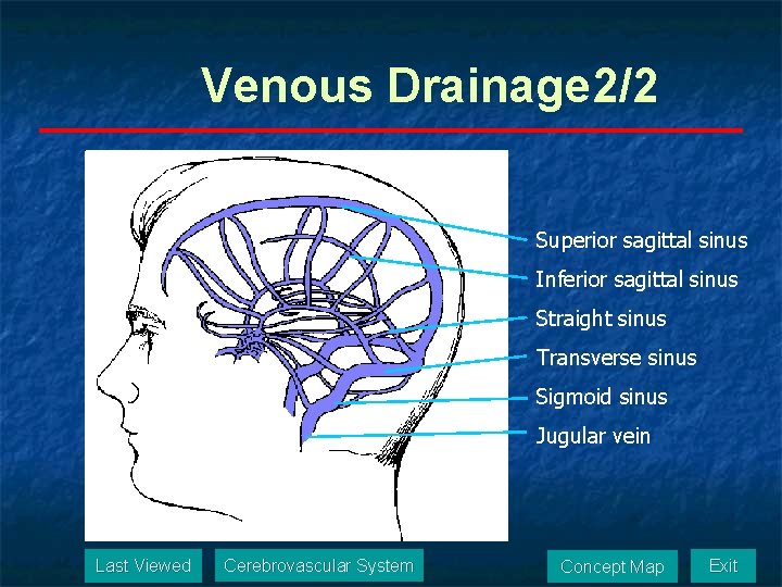 Venous Drainage 2/2 Superior sagittal sinus Inferior sagittal sinus Straight sinus Transverse sinus Sigmoid
