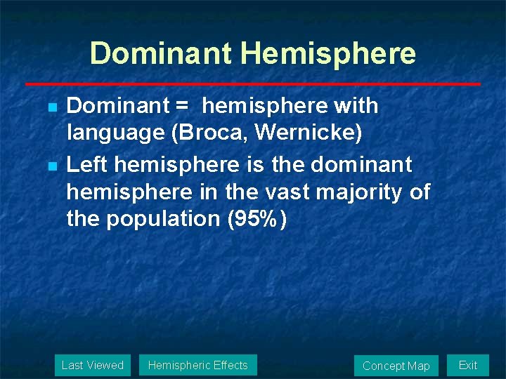 Dominant Hemisphere n n Dominant = hemisphere with language (Broca, Wernicke) Left hemisphere is