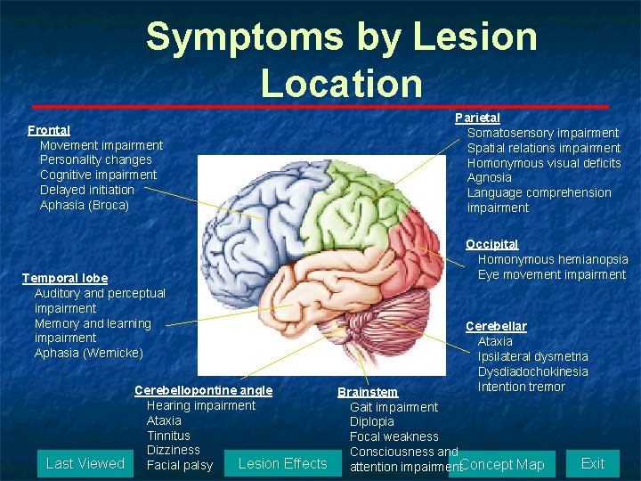 Symptoms by Lesion Location Frontal Movement impairment Personality changes Cognitive impairment Delayed initiation Aphasia