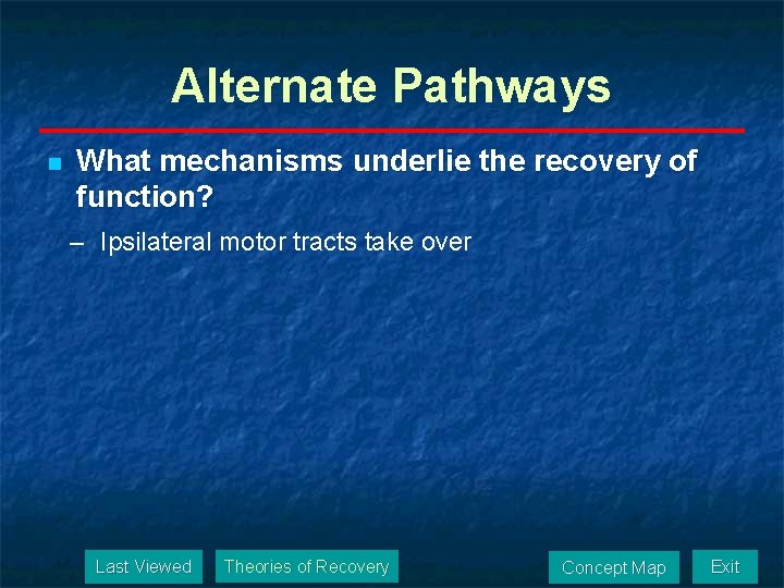 Alternate Pathways n What mechanisms underlie the recovery of function? – Ipsilateral motor tracts