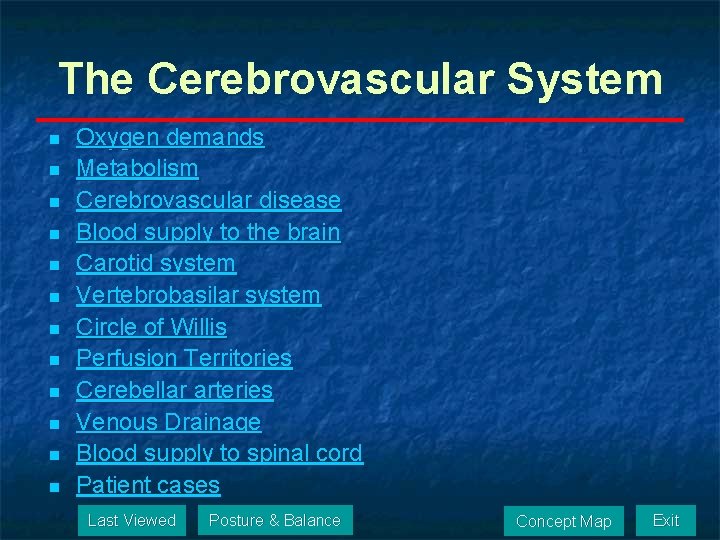 The Cerebrovascular System n n n Oxygen demands Metabolism Cerebrovascular disease Blood supply to