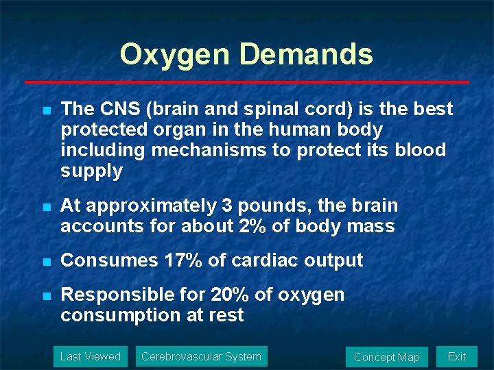 Oxygen Demands n The CNS (brain and spinal cord) is the best protected organ
