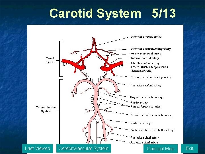 Carotid System 5/13 Last Viewed Cerebrovascular System Concept Map Exit 