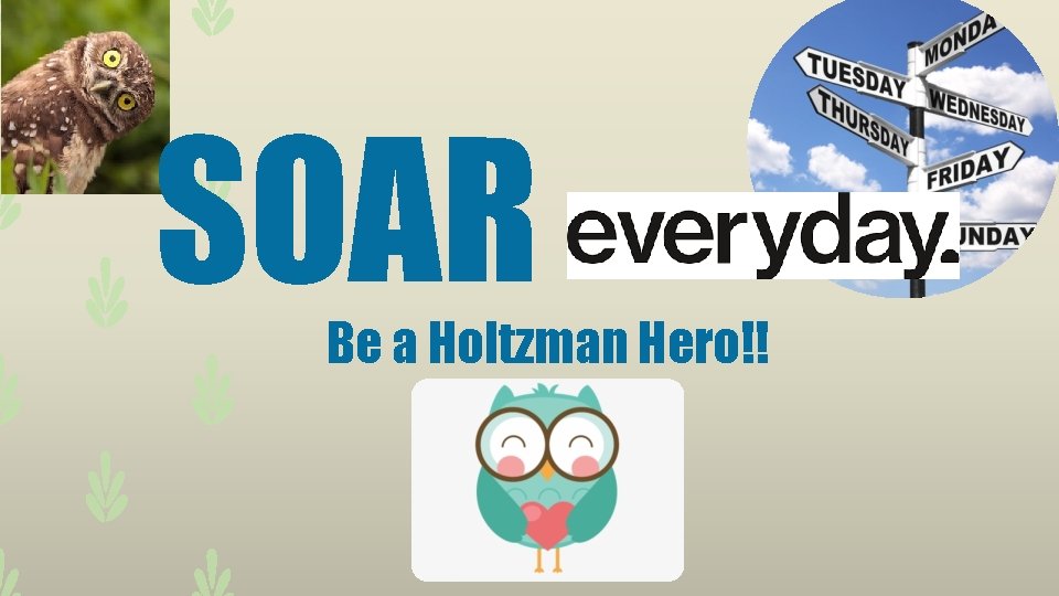 SOAR Be a Holtzman Hero!! 