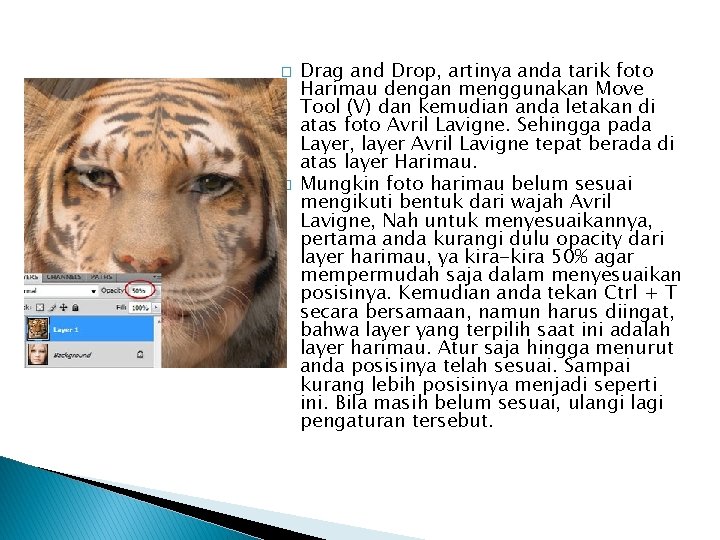 � � Drag and Drop, artinya anda tarik foto Harimau dengan menggunakan Move Tool