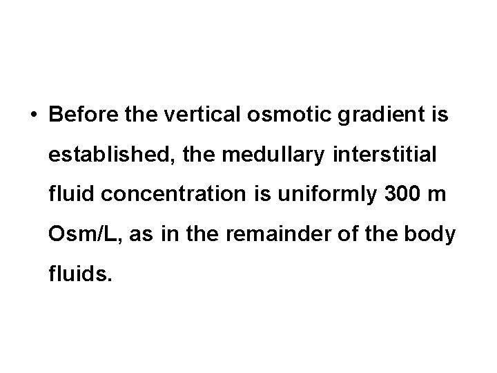  • Before the vertical osmotic gradient is established, the medullary interstitial fluid concentration