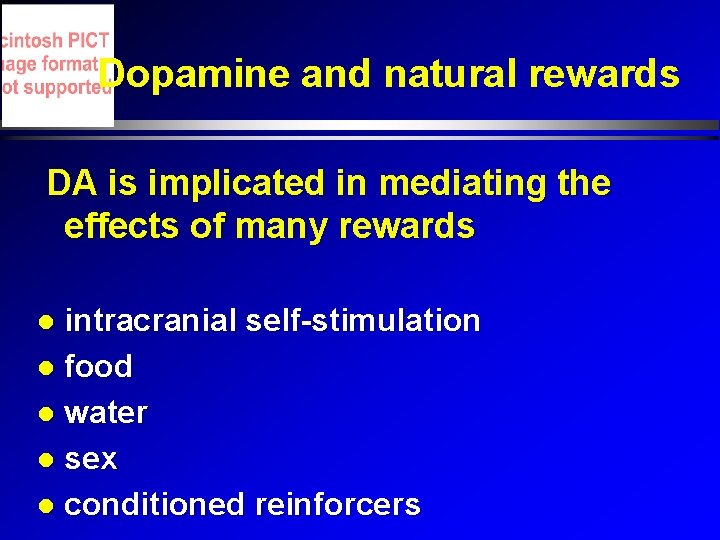 Dopamine and natural rewards DA is implicated in mediating the effects of many rewards Dopamine and natural rewards DA is implicated in mediating the effects of many rewards