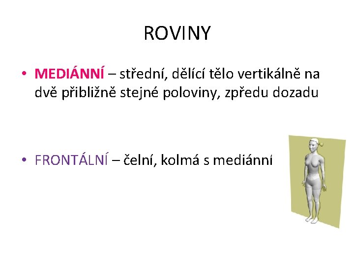 ROVINY • MEDIÁNNÍ – střední, dělící tělo vertikálně na dvě přibližně stejné poloviny, zpředu