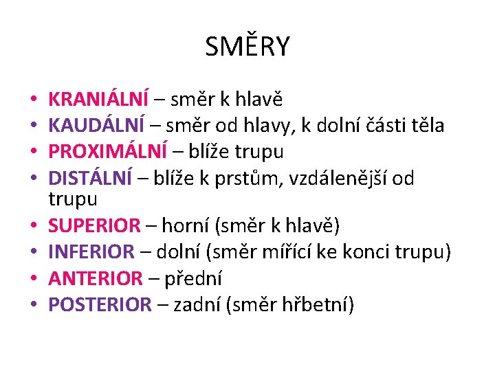 SMĚRY • • KRANIÁLNÍ – směr k hlavě KAUDÁLNÍ – směr od hlavy, k