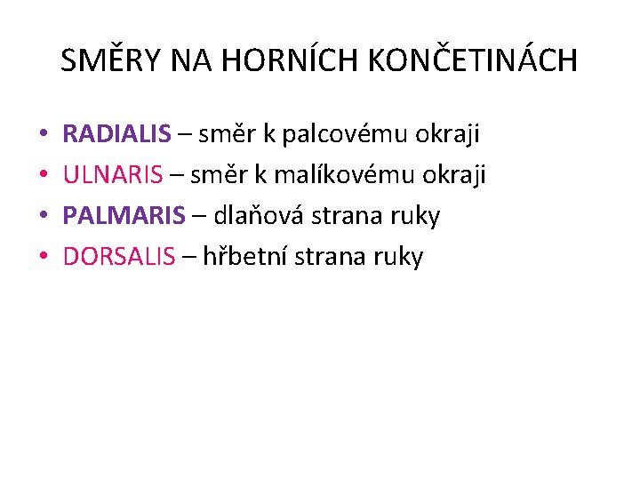 SMĚRY NA HORNÍCH KONČETINÁCH • • RADIALIS – směr k palcovému okraji ULNARIS –