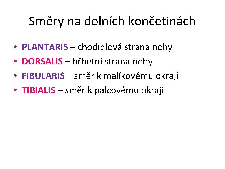 Směry na dolních končetinách • • PLANTARIS – chodidlová strana nohy DORSALIS – hřbetní