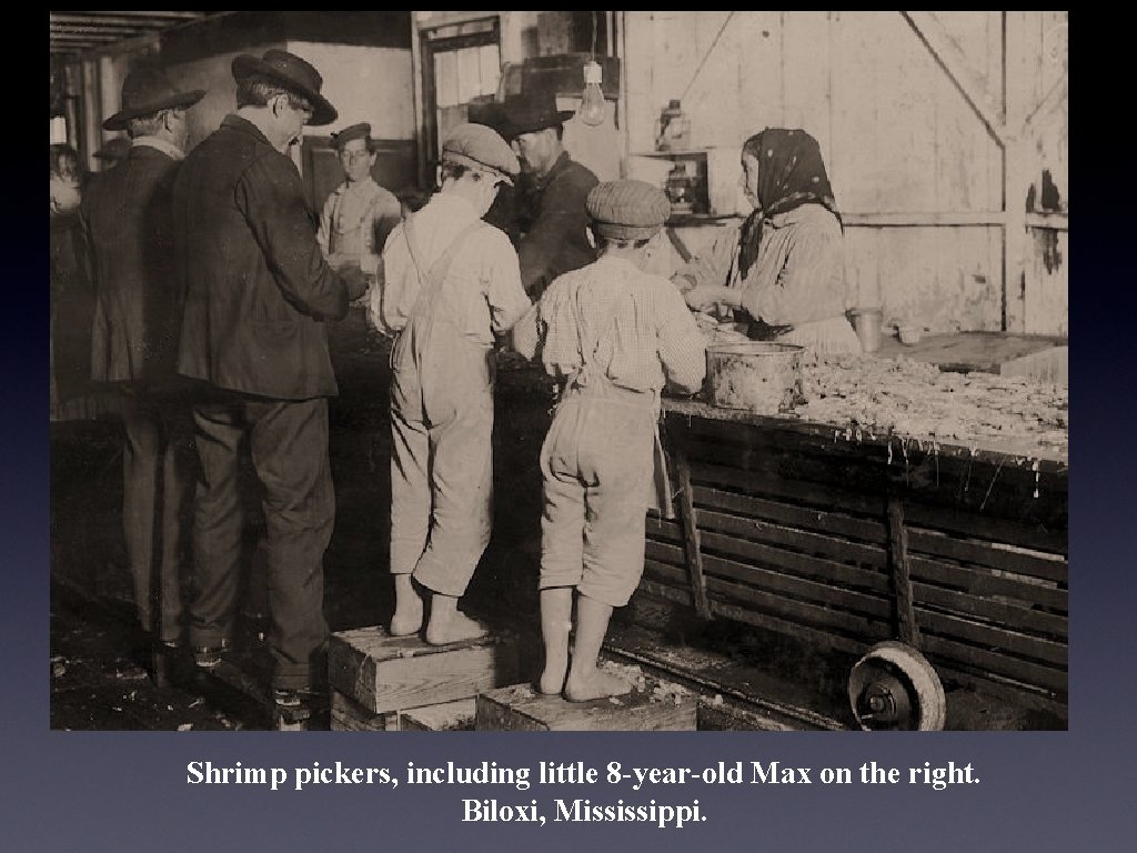 Shrimp pickers, including little 8 -year-old Max on the right. Biloxi, Mississippi. 