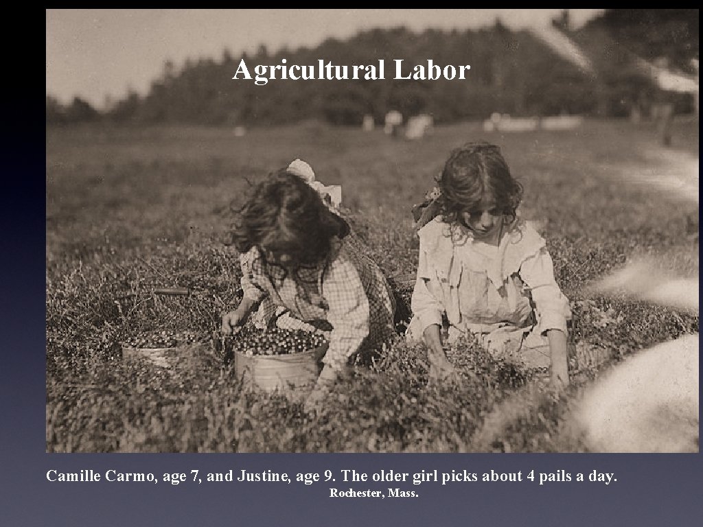 Agricultural Labor Camille Carmo, age 7, and Justine, age 9. The older girl picks