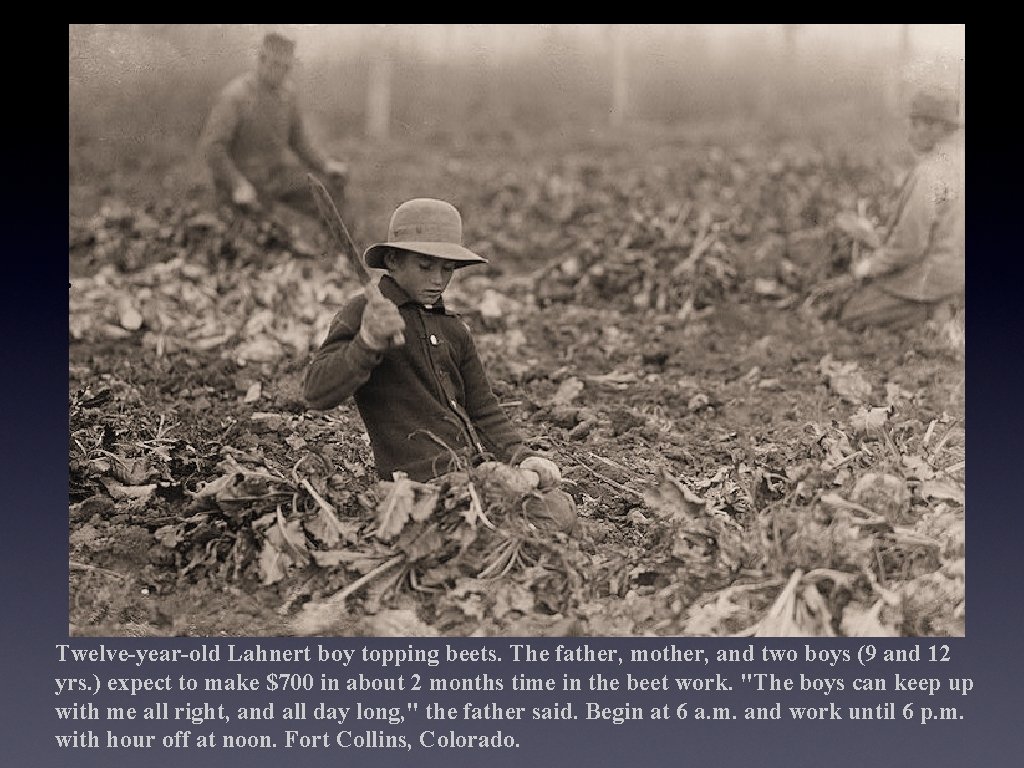 Twelve-year-old Lahnert boy topping beets. The father, mother, and two boys (9 and 12