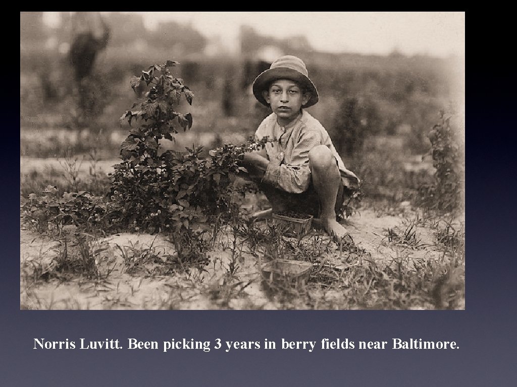 Norris Luvitt. Been picking 3 years in berry fields near Baltimore. 