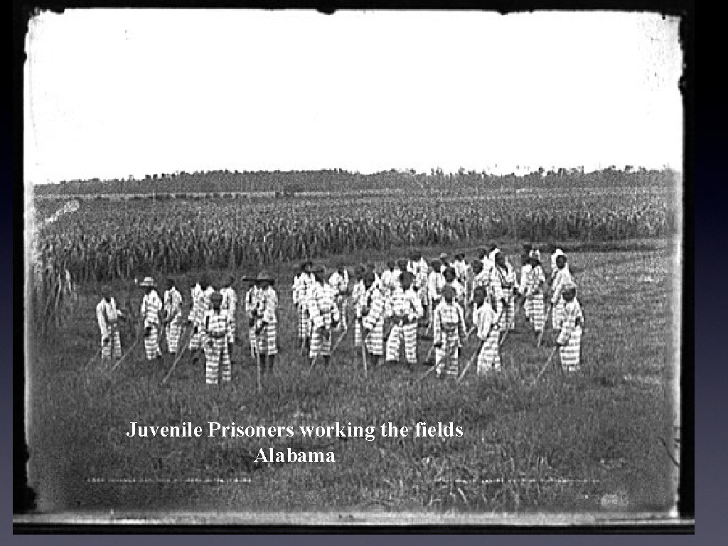 What Hine and the NCLC missed. Juvenile Prisoners working the fields Alabama What Hine and the NCLC missed. Juvenile Prisoners working the fields Alabama