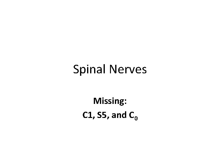 Spinal Nerves Missing: C 1, S 5, and C 0 