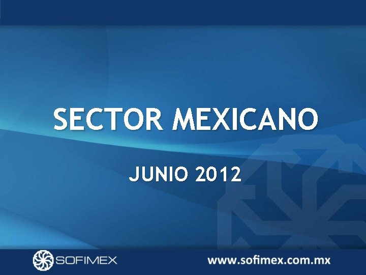 SECTOR MEXICANO JUNIO 2012 