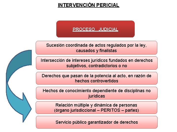 INTERVENCIÓN PERICIAL PROCESO JUDICIAL Sucesión coordinada de actos regulados por la ley, causados y