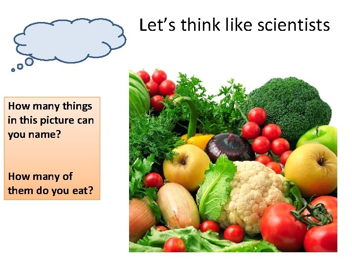 Let’s think like scientists How many things in this picture can you name? How