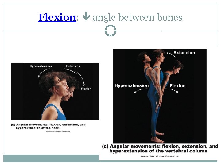 Flexion: angle between bones Flexion: angle between bones