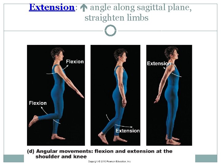 Extension: angle along sagittal plane, straighten limbs 