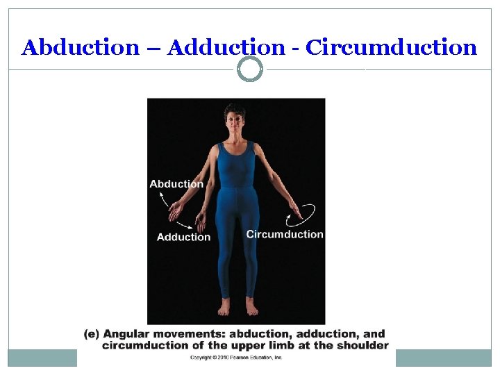 Abduction – Adduction - Circumduction Abduction – Adduction - Circumduction