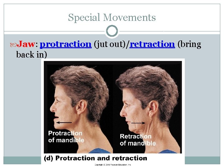 Special Movements Jaw: protraction (jut out)/retraction (bring back in) Special Movements Jaw: protraction (jut out)/retraction (bring back in)