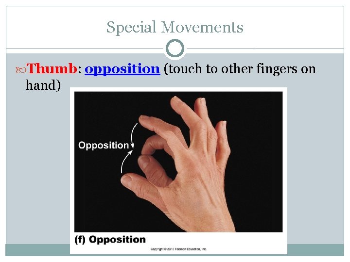 Special Movements Thumb: opposition (touch to other fingers on hand) Special Movements Thumb: opposition (touch to other fingers on hand)