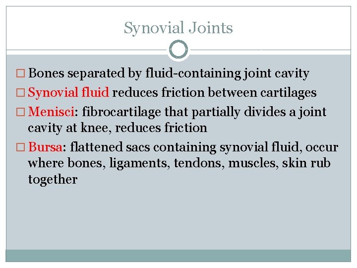 Synovial Joints Bones separated by fluid-containing joint cavity Synovial fluid reduces friction between cartilages