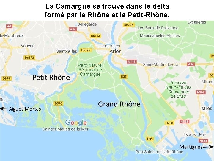 La Camargue se trouve dans le delta formé par le Rhône et le Petit-Rhône.