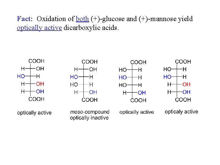 Fact: Oxidation of both (+)-glucose and (+)-mannose yield optically active dicarboxylic acids. 