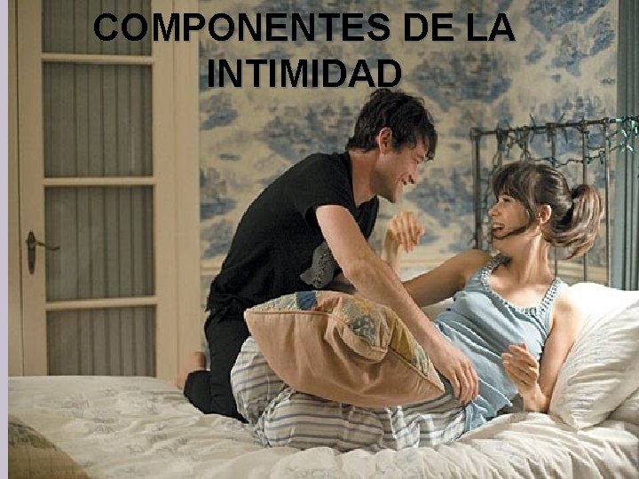 COMPONENTES DE LA INTIMIDAD 