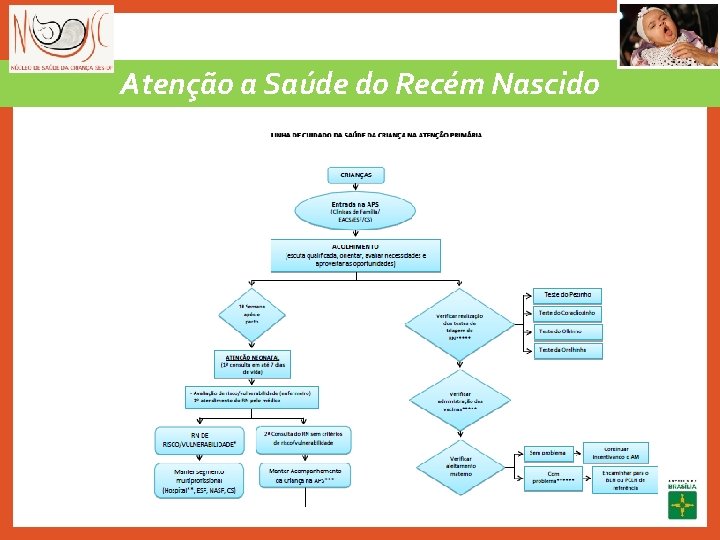 Atenção a Saúde do Recém Nascido 