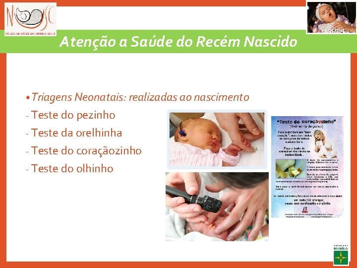 Atenção a Saúde do Recém Nascido • Triagens Neonatais: realizadas ao nascimento - Teste