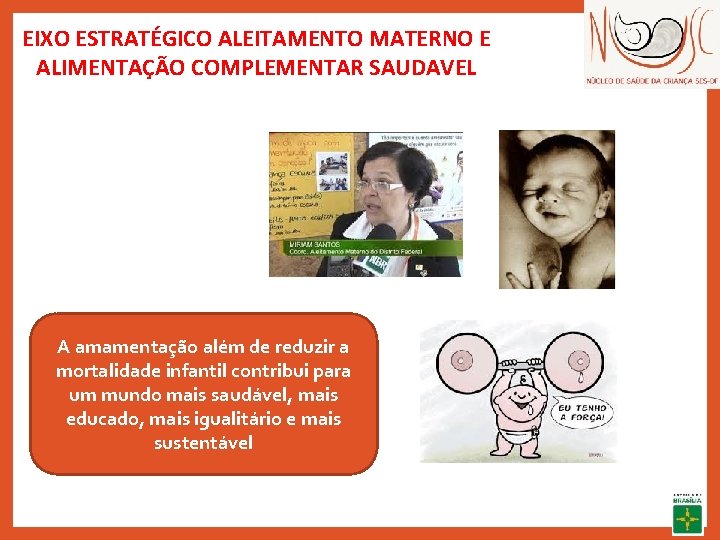 EIXO ESTRATÉGICO ALEITAMENTO MATERNO E ALIMENTAÇÃO COMPLEMENTAR SAUDAVEL A amamentação além de reduzir a