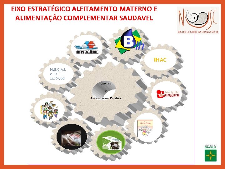 EIXO ESTRATÉGICO ALEITAMENTO MATERNO E ALIMENTAÇÃO COMPLEMENTAR SAUDAVEL IHAC N. B. C. A. L
