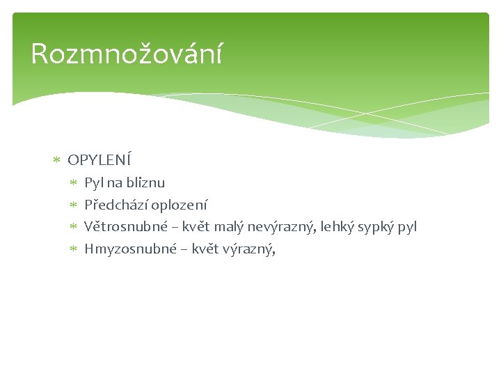 Rozmnožování OPYLENÍ Pyl na bliznu Předchází oplození Větrosnubné – květ malý nevýrazný, lehký sypký