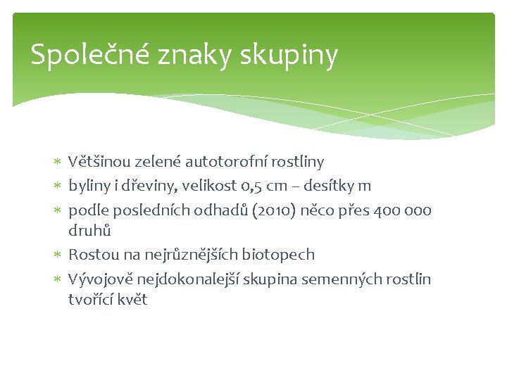 Společné znaky skupiny Většinou zelené autotorofní rostliny byliny i dřeviny, velikost 0, 5 cm