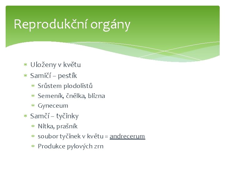 Reprodukční orgány Uloženy v květu Samičí – pestík Srůstem plodolistů Semeník, čnělka, blizna Gyneceum