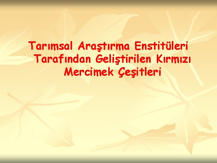 Tarımsal Araştırma Enstitüleri Tarafından Geliştirilen Kırmızı Mercimek Çeşitleri 