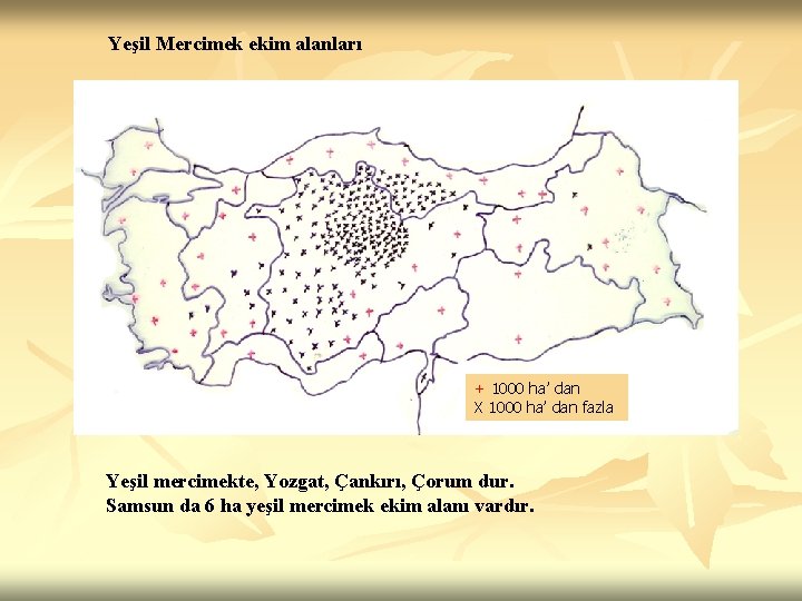 Yeşil Mercimek ekim alanları + 1000 ha’ dan X 1000 ha’ dan fazla Yeşil