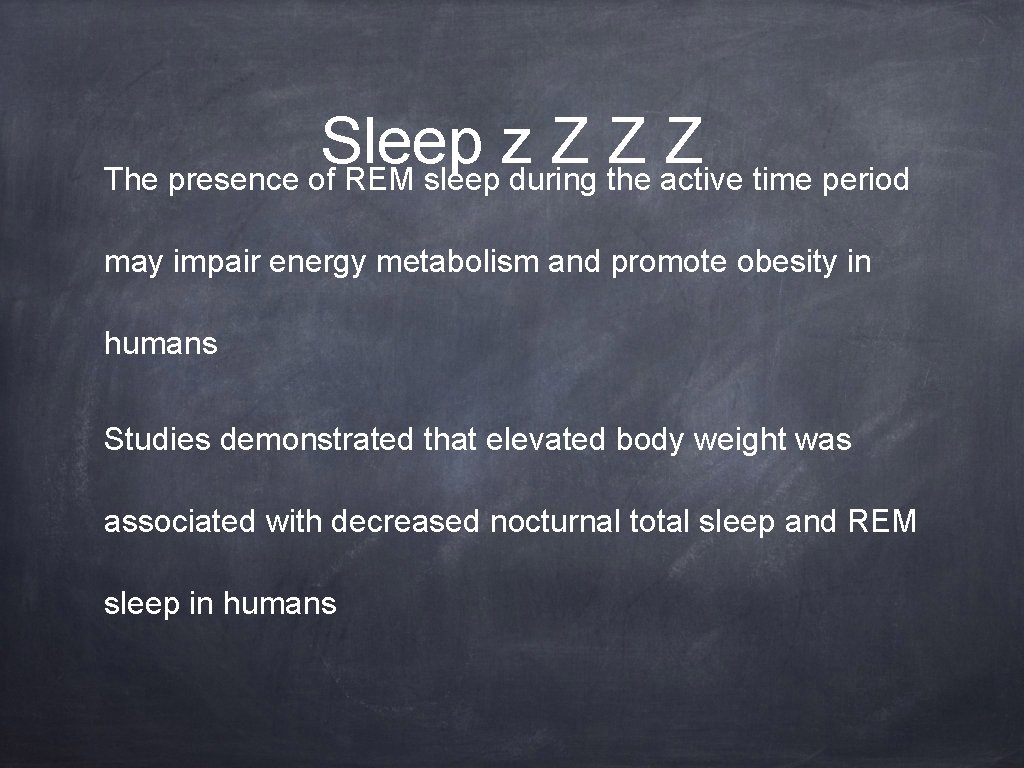 Sleep z Z Z Z The presence of REM sleep during the active time
