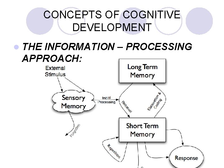 CONCEPTS OF COGNITIVE DEVELOPMENT l THE INFORMATION – PROCESSING APPROACH: 