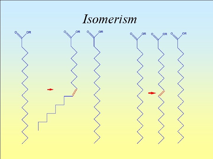 Isomerism 