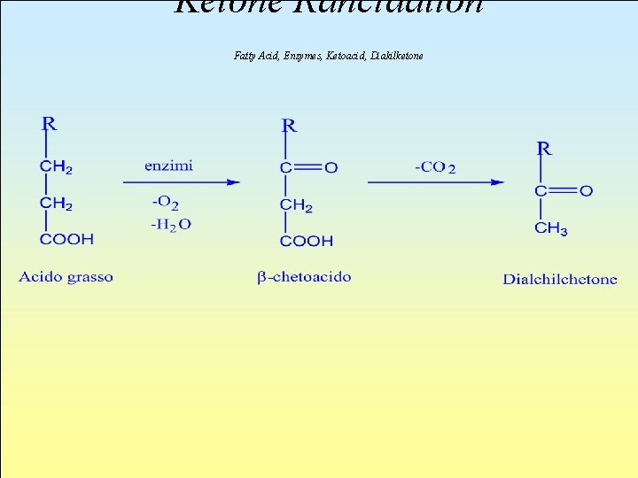 Ketone Rancidation Fatty Acid, Enzymes, Ketoacid, Diakilketone 