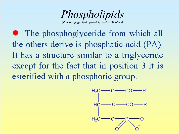 Phospholipids (Previous page: Hydroperoxide, Radical Alcolssis) l The phosphoglyceride from which all the others