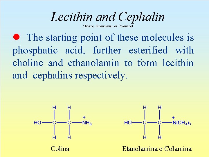 Lecithin and Cephalin Choline, Ethanolamin or Colamine) l The starting point of these molecules