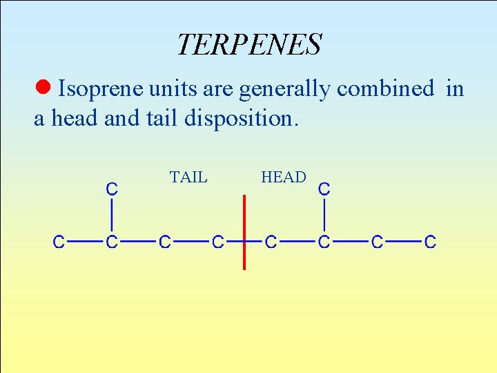 TERPENES l Isoprene units are generally combined in a head and tail disposition. TAIL