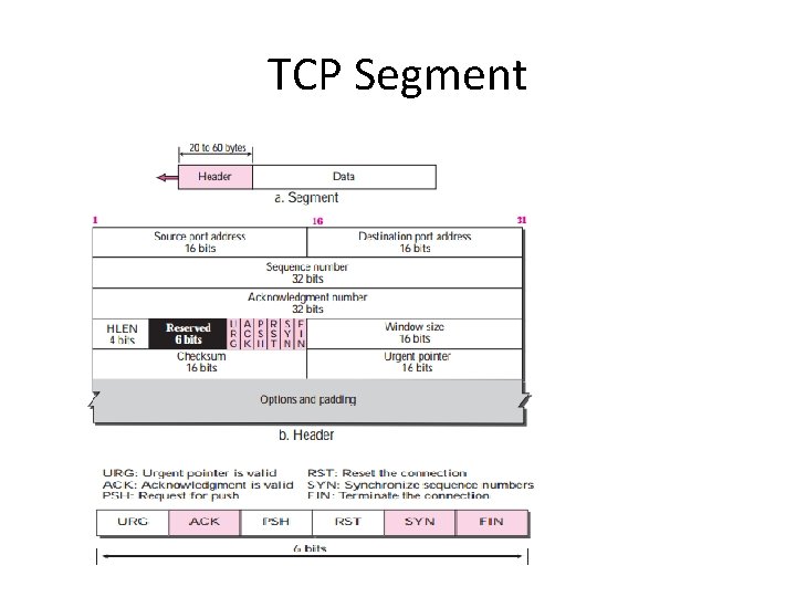 TCP Segment 